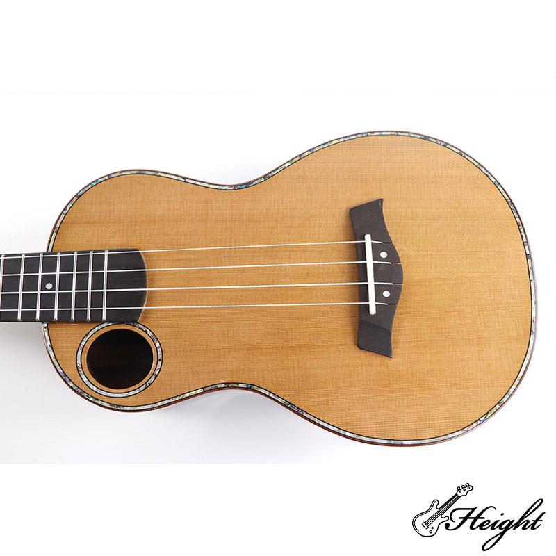 gloss tenor ukulele case