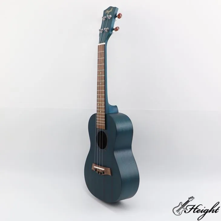 Blue Beginner Mahogany Ukulele