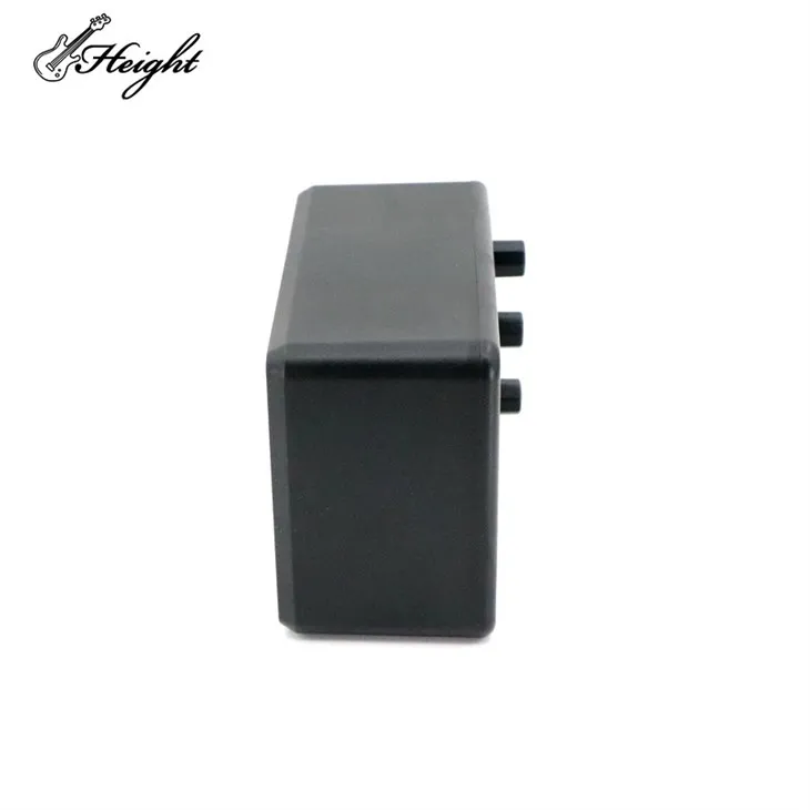 Guitar Amplifier Speaker