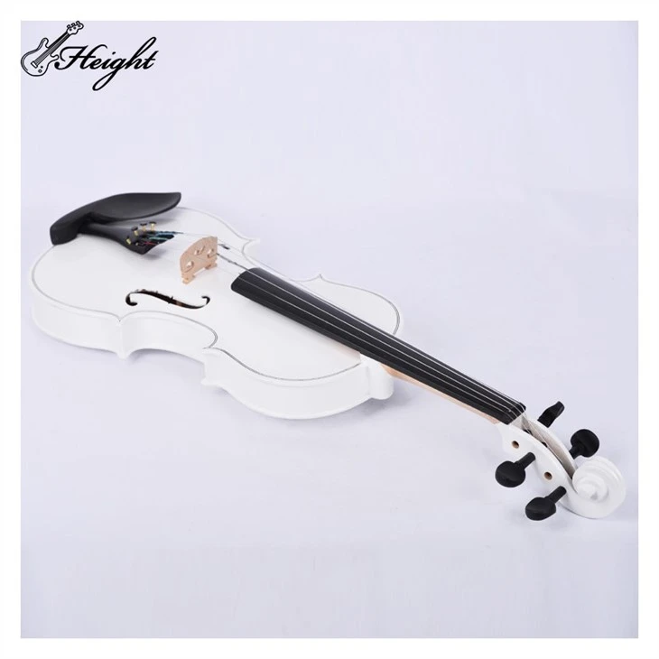 Violin Stringed Musical Instruments